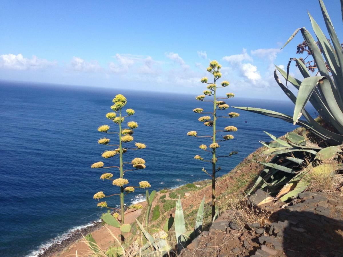 Blooming Botanic Houses Estreito Da Calheta Exterior photo