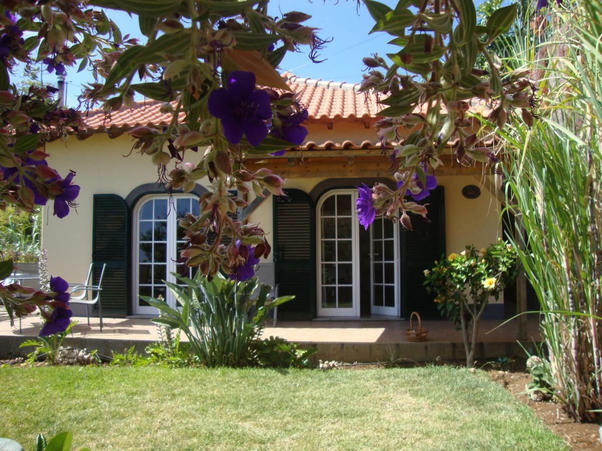 Blooming Botanic Houses Estreito Da Calheta Exterior photo